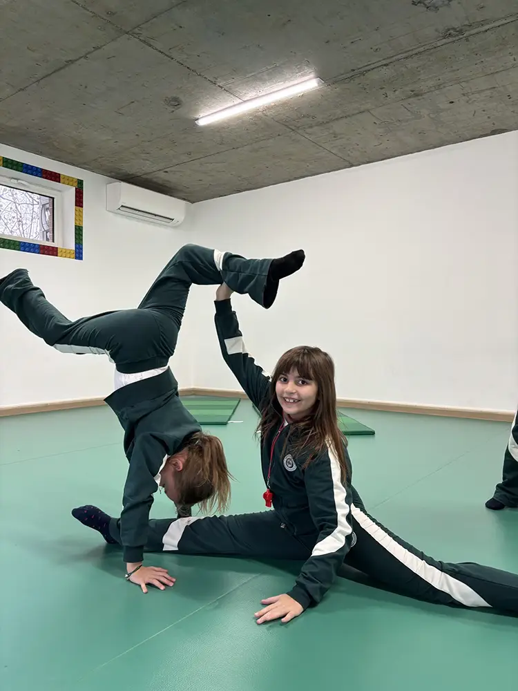 Privatna_OS_MIHAJLO_PUPIN_15